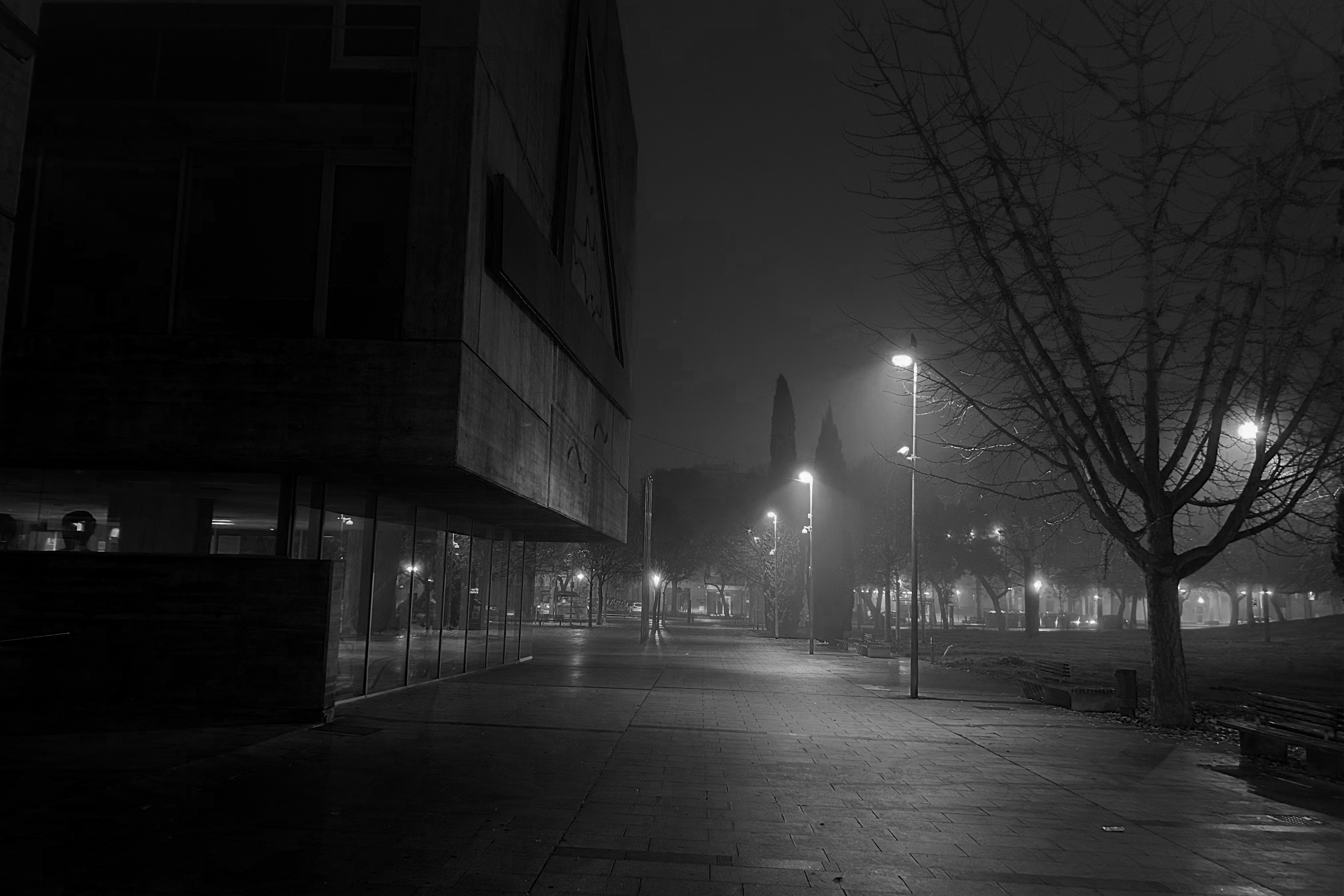 3R. PREMI  -6 QUAN LA CIUTAT DORM (1).jpg