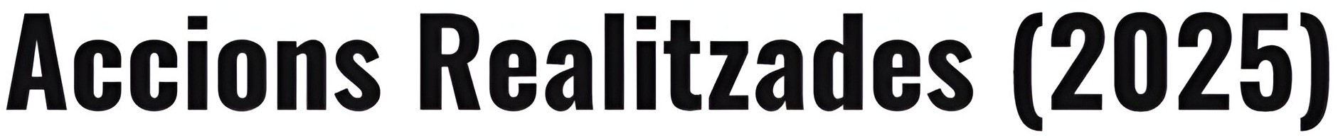 ACCIONS REALITZADES.jpg