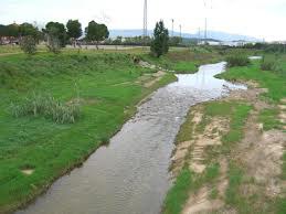 Sortida de natura: El Tenes i el camí de Montmeló.