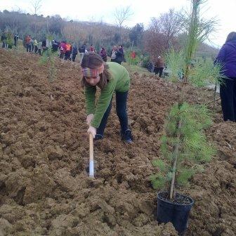 Festa-arbre-13.jpg