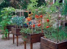 Tast de nous tallers per a la gent gran: L'hort al balcó.