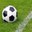 Torneig 24h de futbol 7