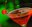 coctel.jpg