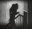 Cinema. Grans Clàssics: "Nosferatu, el vampir"