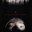 The Picture Show Cineforum (cinema fantàstic i de terror): "Hambre" i "The Blair Witch Project"
