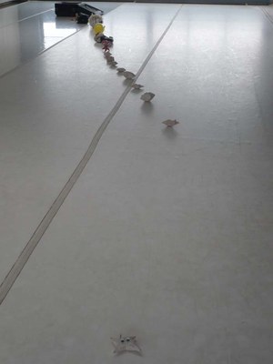 Presentació pública "TIT" de Sigrid Kollmannsperger.