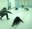 DSC09595-comp-ret-port.jpg