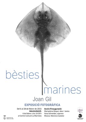 Exposició: "Bèsties marines" de Joan Gil.