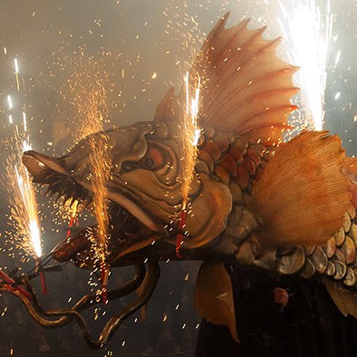 Festa Major 2016: Ball del Moll Fer.