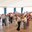 Festa Major 2016: Ball amb l'Orquestra Gerunda