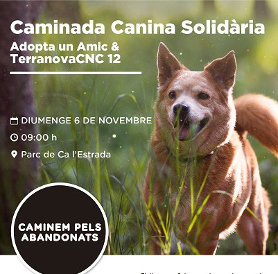 caminada-canina-pantalla-port.jpg