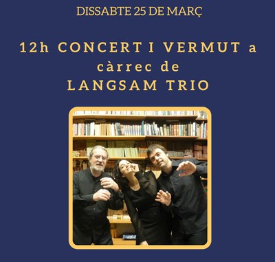 concert-langsam-trio-port.jpg