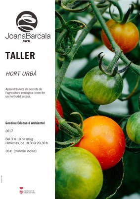 Taller "Hort urbà", a càrrec de Geoblau Educació Ambiental.