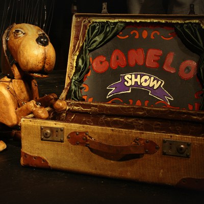 Canelo-show.jpg