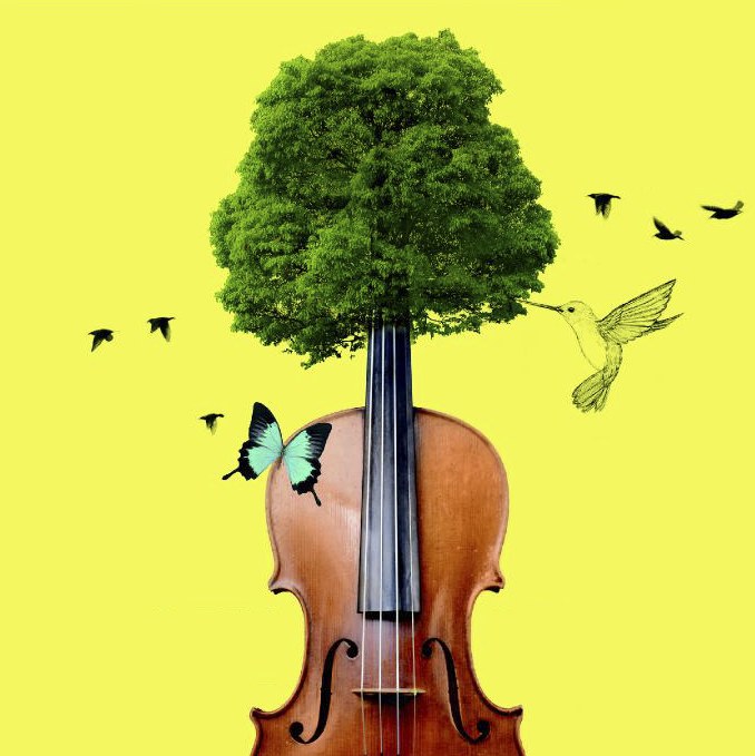 concert-primavera.jpg