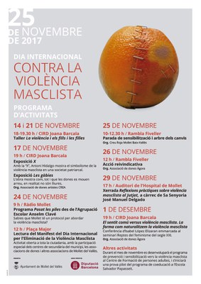 Dia Internacional Contra la Violència Masclista: Programa Visions de Vallès Visió. "Els homes de Mollet diuen no a la violència masclista".
