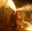correfoc.JPG