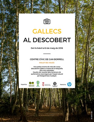 Inauguració i visita guiada de l’exposició fotogràfica “Gallecs al descobert” de Cesc Gudayol.