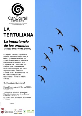 La Tertuliana: "La importància de les orenetes".