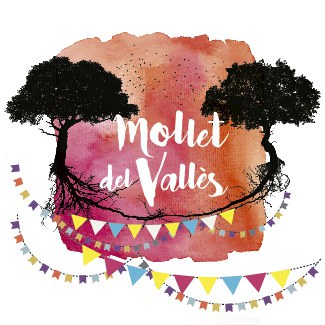FESTA SOLIDARITAT 2018 aux6
