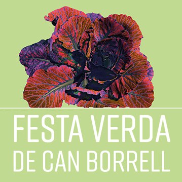 FestaVerda aux