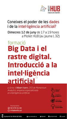 Formació Mollet HUB: Big Data i el rastre digital. Introducció a la intel·ligència artificial .