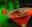 coctel aux