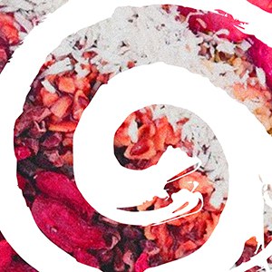 Esmorzars saludables aux2