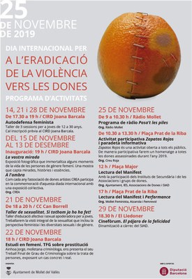 Lectura del Manifest amb motiu del Dia internacional per a l’Eradicació de la Violència vers les Dones i “Performance”.