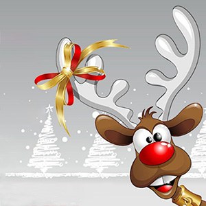 taller decoracio arbre nadal aux2