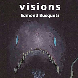 cartell Visions aux2