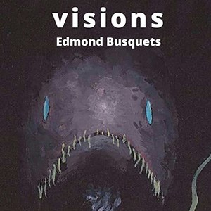 cartell Visions aux2