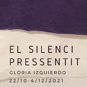 Silenci aux