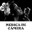 Musica de camera aux