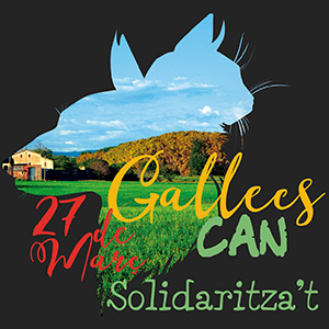 GallecsCan aux