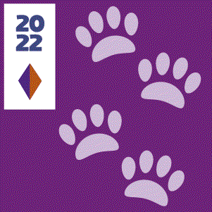 FM2022 aux2 passejada