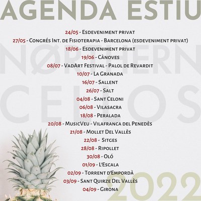 FESTA MAJOR 2022: Concert a la terrassa del Museu. Northen Cellos.