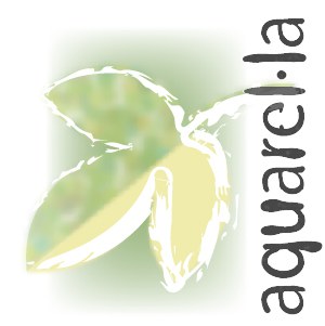Tallers Generalistes: Aquarel·la.