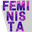Jornada feminista aux