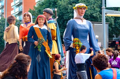 Cercavila de la XXIX Trobada de Gegants.