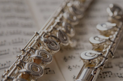 Imatge gràfica del concert.