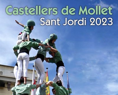 Diada castellera de Sant Jordi.