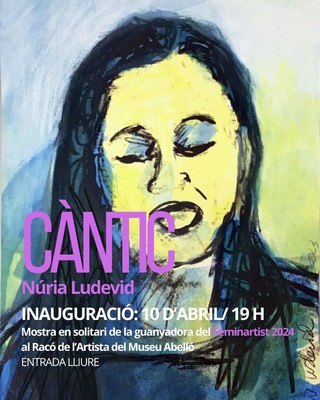 Façana del Museu Abelló.