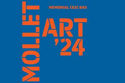Exposició temporal: MOLLET ART '24.