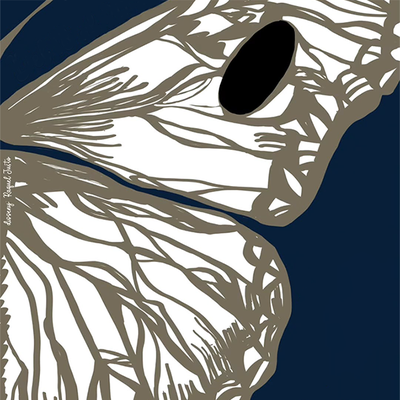 Imatge gràfica del cartell.