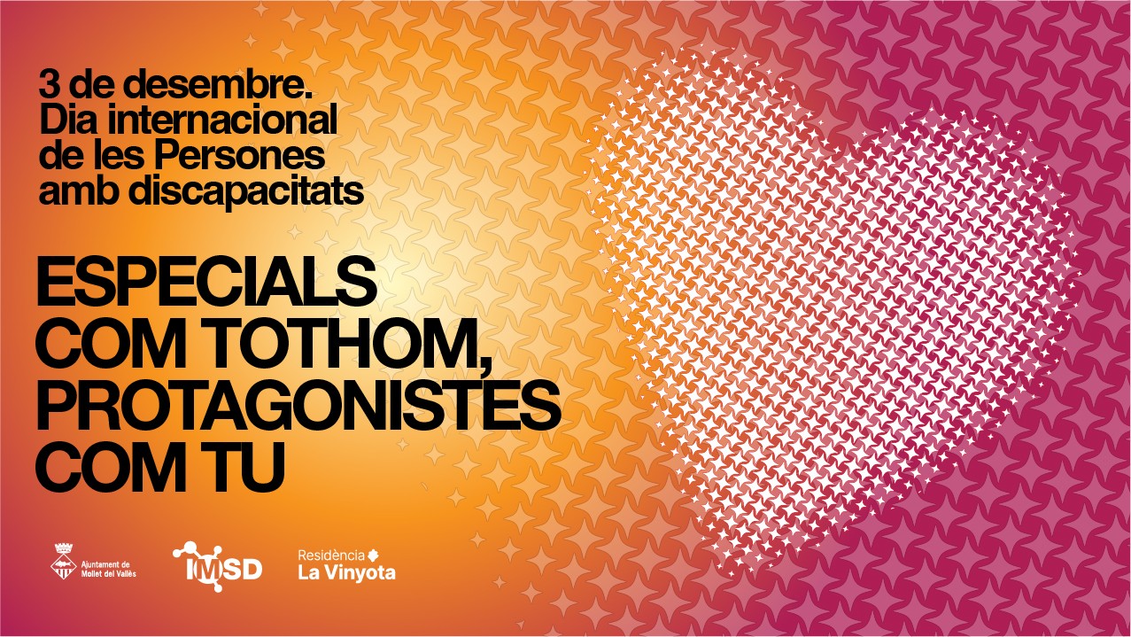 Publicitat Dia Internacional Persones amb Discapacitat