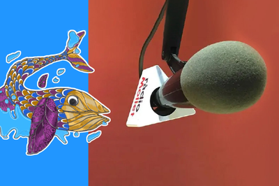 Micròfon de Ràdio Mollet.