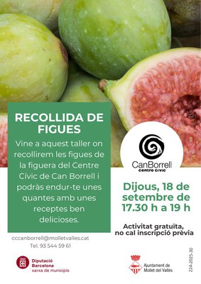 Cartell