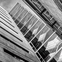 Fotografia guanyadora "Inorgànic"