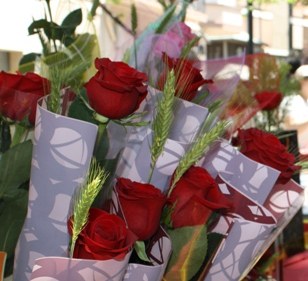 Convocat el XXIII Certamen literari de prosa i poesia de Sant Jordi.
